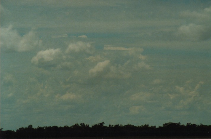 altocumulus castellanus : S of Cunumulla, Qld   27 November 1999