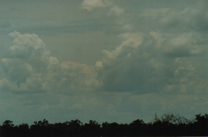 altocumulus castellanus : S of Cunumulla, Qld   27 November 1999