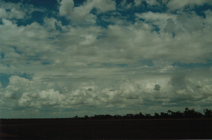 cumulus mediocris : S of Cunumulla, Qld   27 November 1999