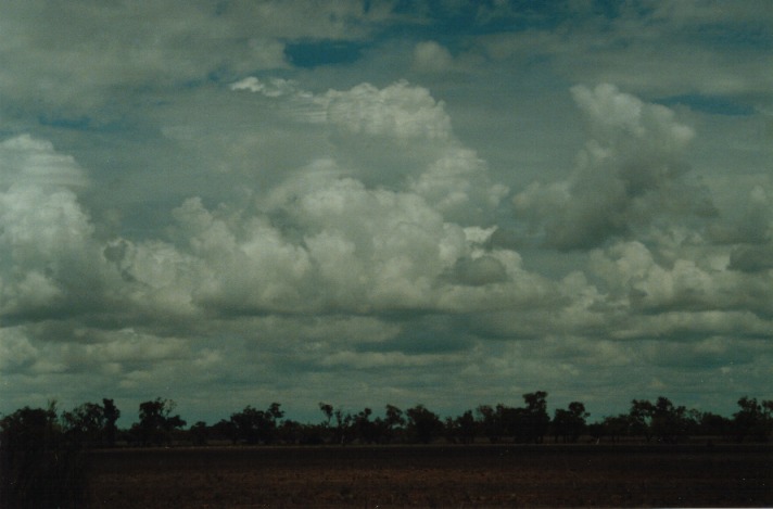 thunderstorm cumulonimbus_calvus : S of Cunumulla, Qld   27 November 1999