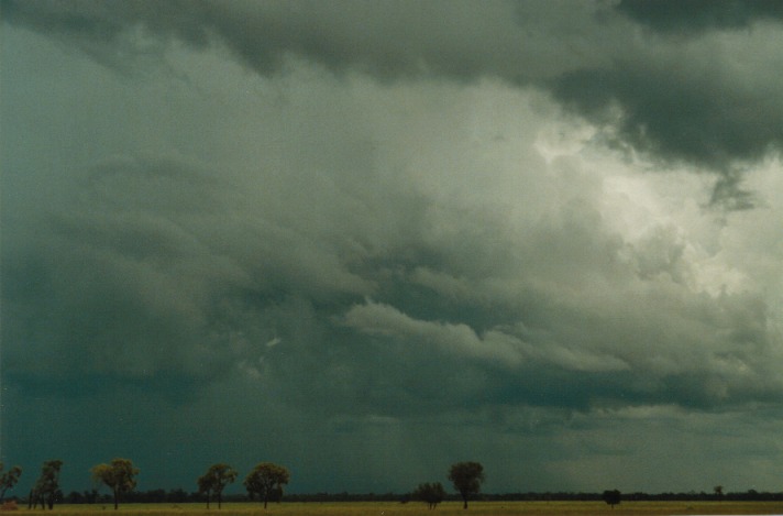 raincascade precipitation_cascade : S of Cunumulla, Qld   27 November 1999