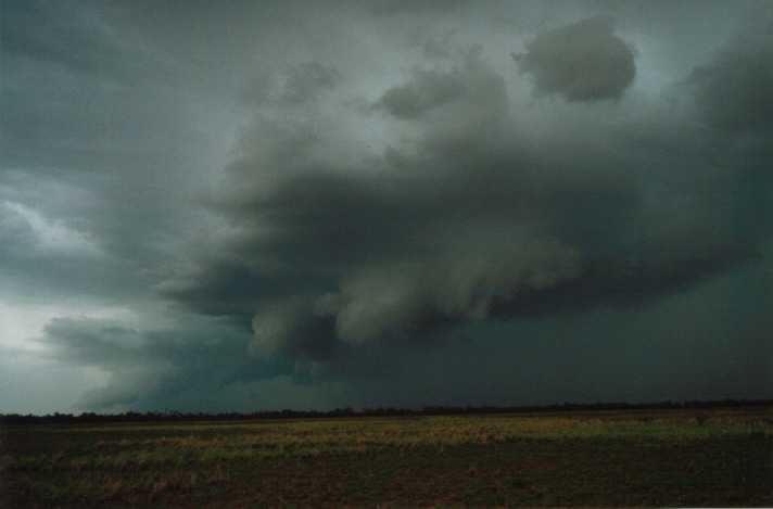 shelfcloud shelf_cloud : S of Cunumulla, Qld   27 November 1999