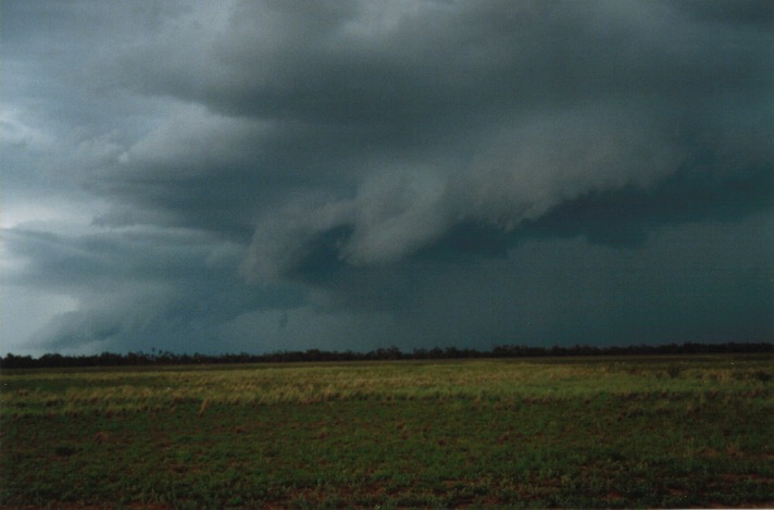 cumulonimbus thunderstorm_base : S of Cunumulla, Qld   27 November 1999