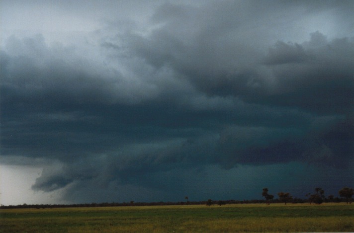 raincascade precipitation_cascade : S of Cunumulla, Qld   27 November 1999