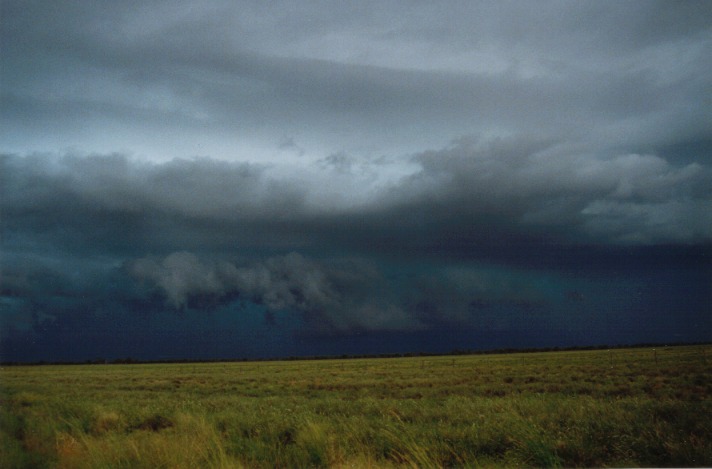 shelfcloud shelf_cloud : S of Cunumulla, Qld   27 November 1999