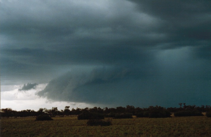 cumulonimbus thunderstorm_base : N of Barringun, NSW   27 November 1999