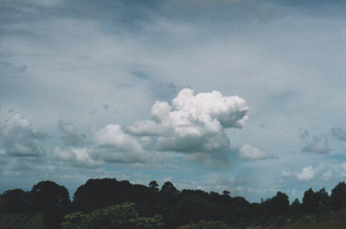 cirrostratus cirrostratus_cloud : McLeans Ridges, NSW   22 December 1999