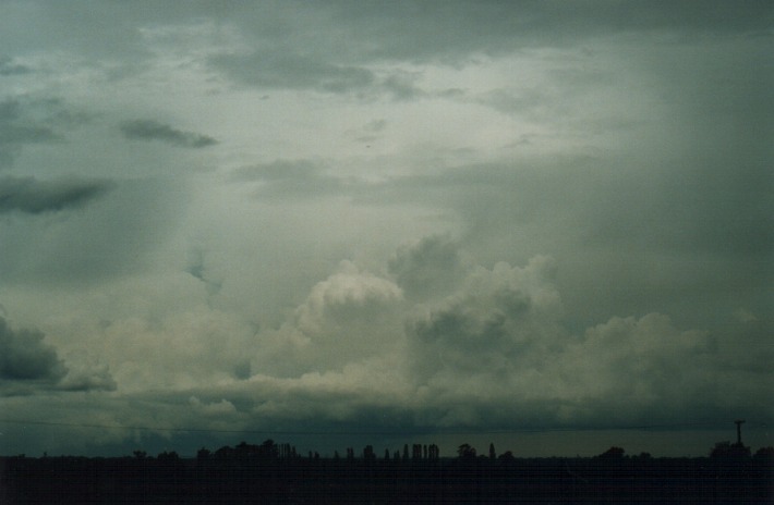 cumulonimbus thunderstorm_base : Freemans Reach, NSW   28 December 1999