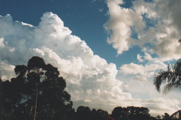 thunderstorm cumulonimbus_incus : Wollongbar, NSW   29 December 1999