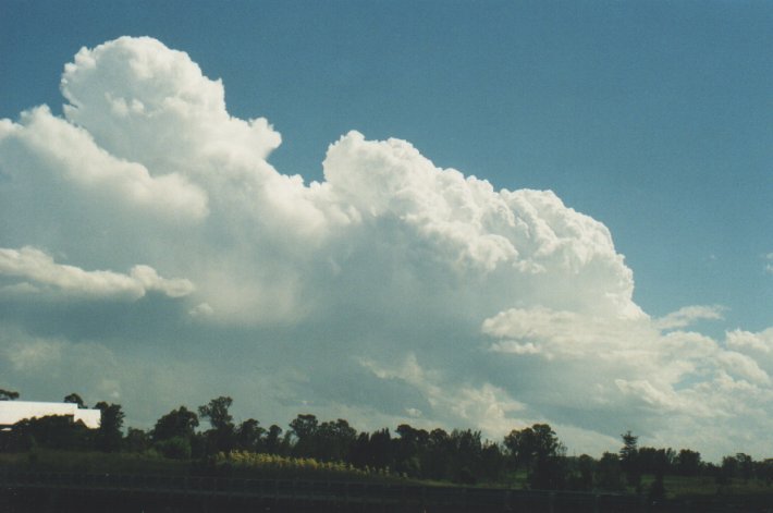 cumulus congestus : Tatham, NSW   31 December 1999