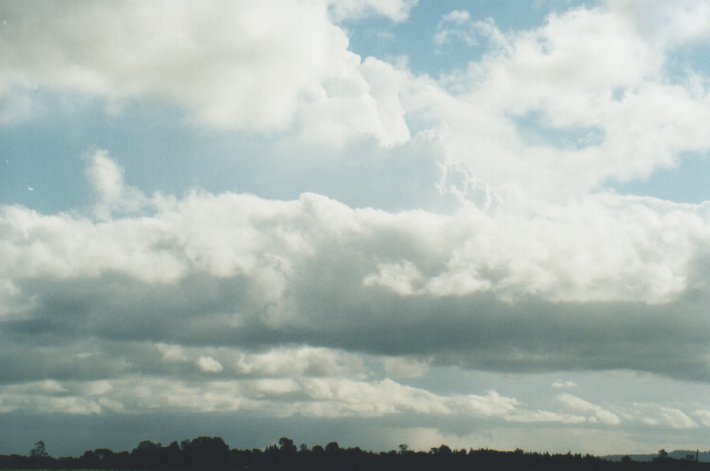 thunderstorm cumulonimbus_incus : Woodburn, NSW   31 December 1999