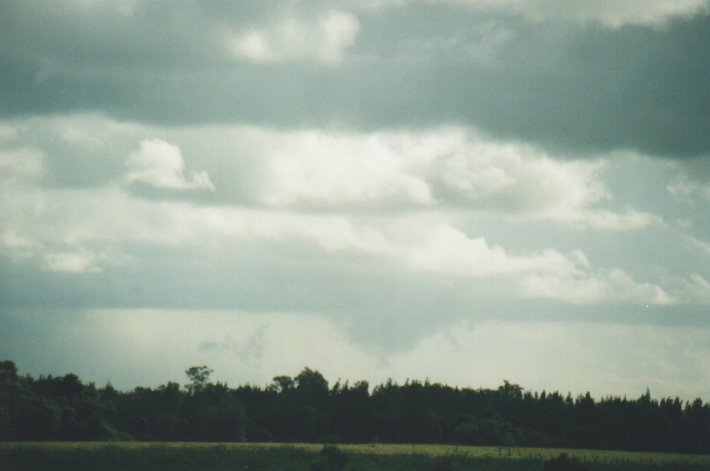 wallcloud thunderstorm_wall_cloud : Woodburn, NSW   31 December 1999