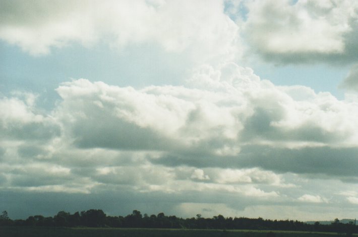 stratus stratus_cloud : Woodburn, NSW   31 December 1999