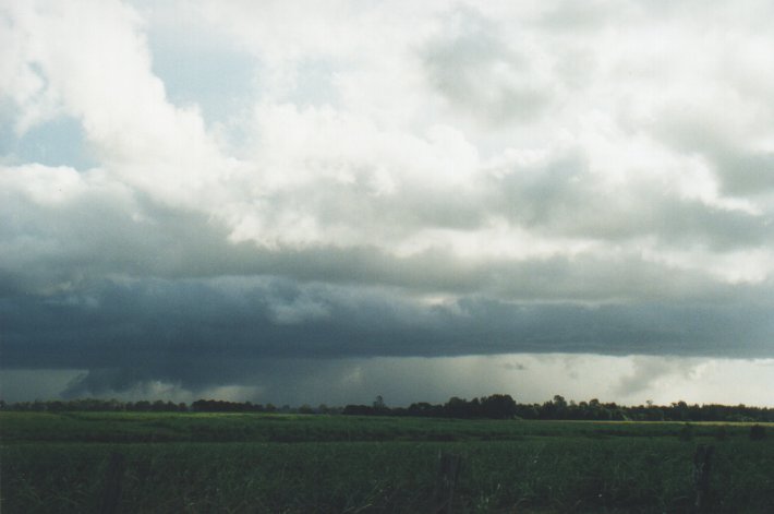 cumulonimbus thunderstorm_base : Woodburn, NSW   31 December 1999