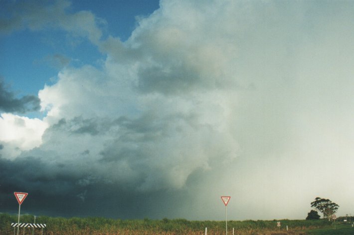 thunderstorm cumulonimbus_incus : Woodburn, NSW   31 December 1999