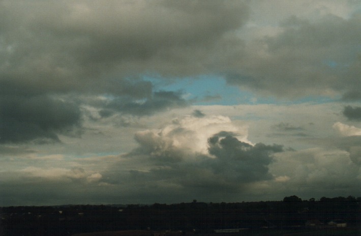 stratocumulus stratocumulus_cloud : Schofields, NSW   2 January 2000