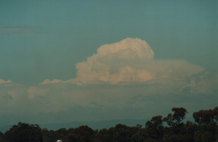 thunderstorm cumulonimbus_calvus : Rooty Hill, NSW   4 January 2000