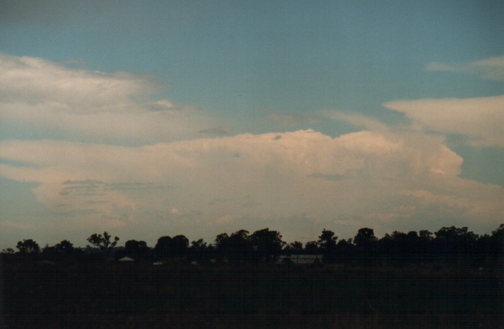 thunderstorm cumulonimbus_incus : Rooty Hill, NSW   4 January 2000