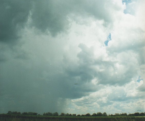 raincascade precipitation_cascade : Tuckarimba, NSW   5 January 2000