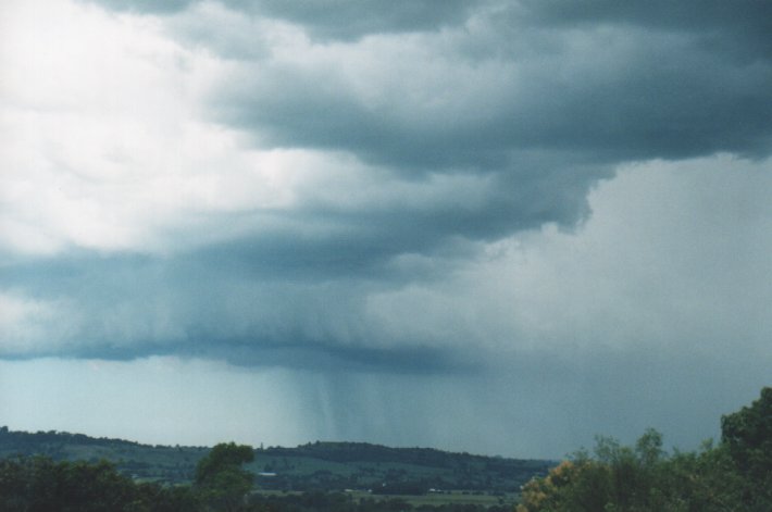 raincascade precipitation_cascade : Parrots Nest, NSW   5 January 2000