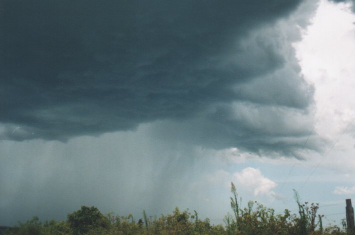 raincascade precipitation_cascade : Parrots Nest, NSW   5 January 2000