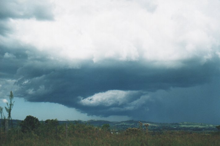 raincascade precipitation_cascade : Parrots Nest, NSW   5 January 2000