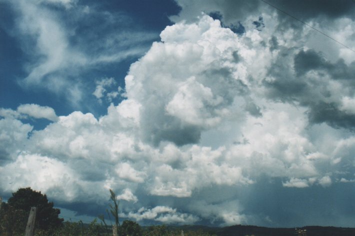 thunderstorm cumulonimbus_incus : Parrots Nest, NSW   5 January 2000