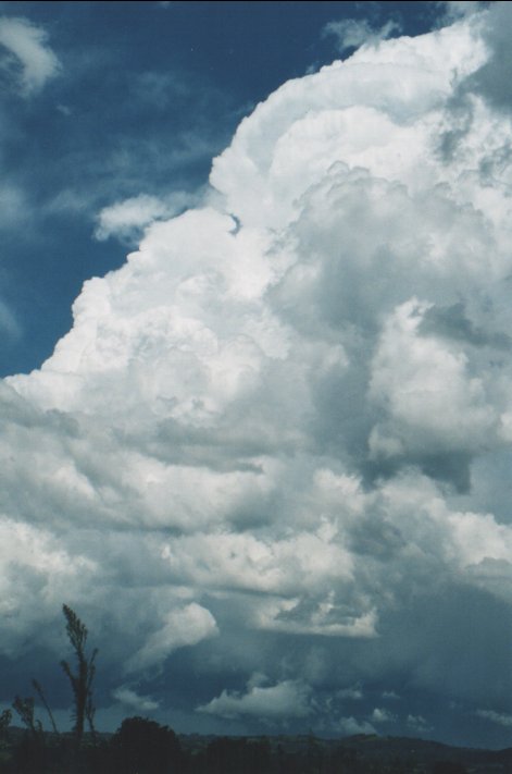 updraft thunderstorm_updrafts : Parrots Nest, NSW   5 January 2000