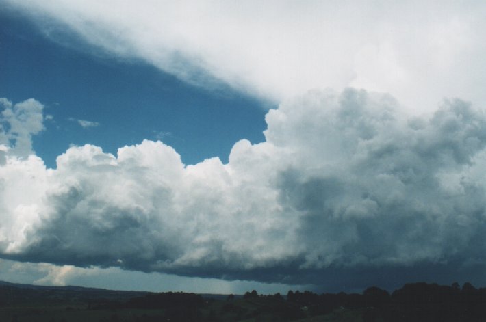 cumulonimbus supercell_thunderstorm : McLeans Ridges, NSW   5 January 2000