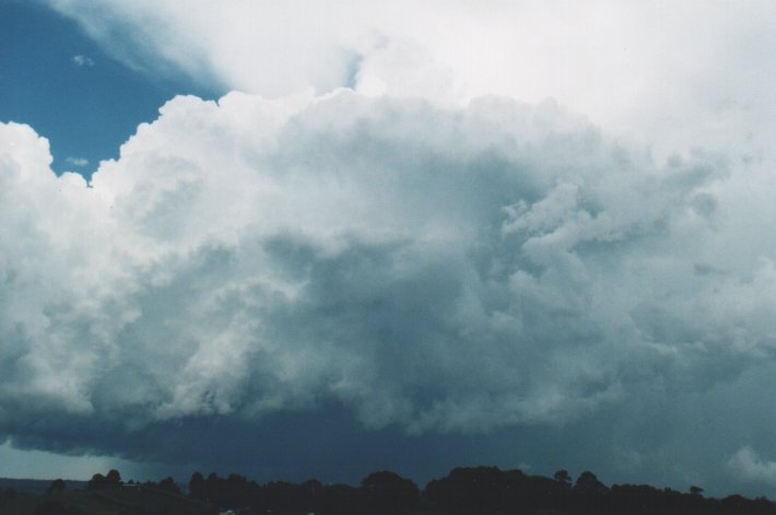 cumulus congestus : McLeans Ridges, NSW   5 January 2000