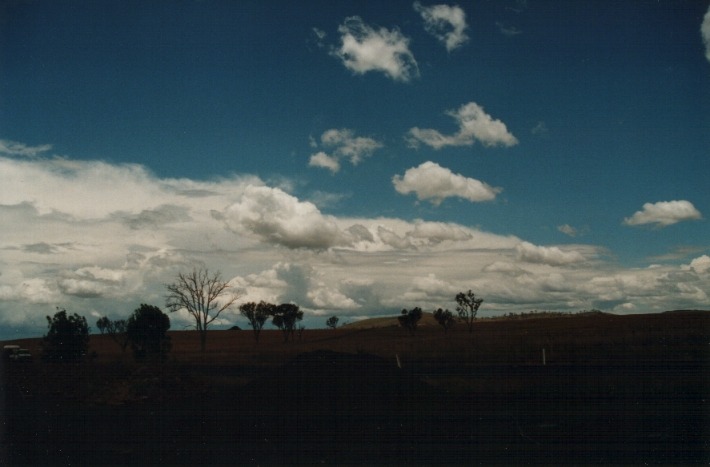 thunderstorm cumulonimbus_incus : S of Uralla, NSW   17 January 2000