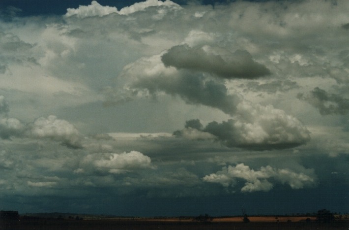 thunderstorm cumulonimbus_incus : N of Uralla, NSW   17 January 2000