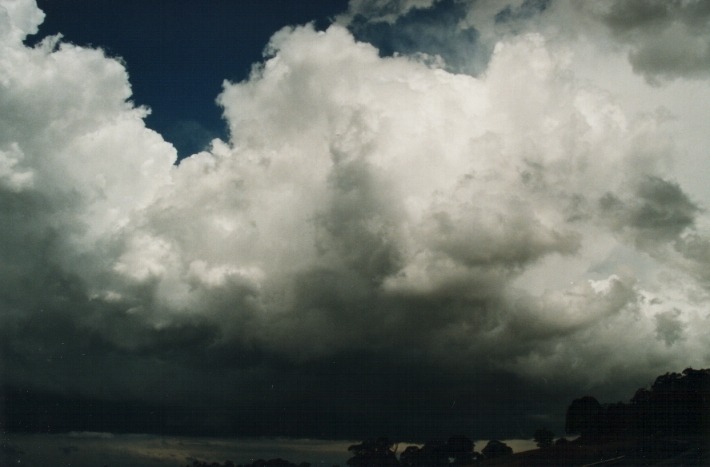 thunderstorm cumulonimbus_calvus : Ben Lomond Range, NSW   17 January 2000