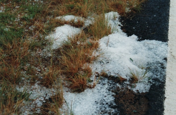 hailstones hail_stones : 20km E of Inverell, NSW   17 January 2000