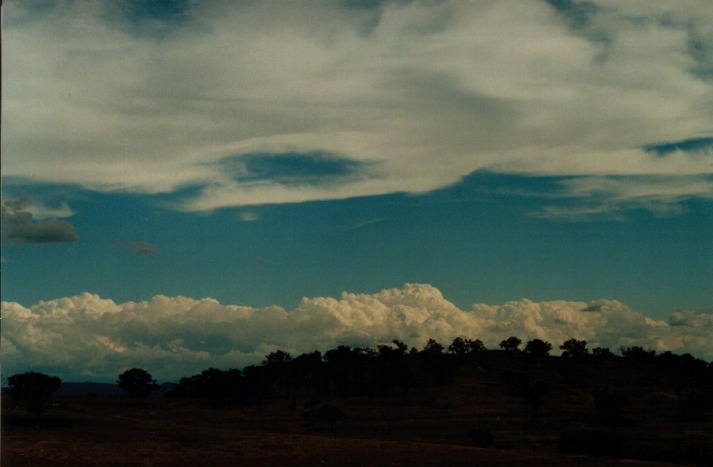 thunderstorm cumulonimbus_calvus : Bathurst, NSW   27 January 2000