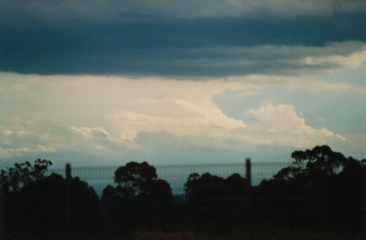 thunderstorm cumulonimbus_incus : Schofields, NSW   9 March 2000