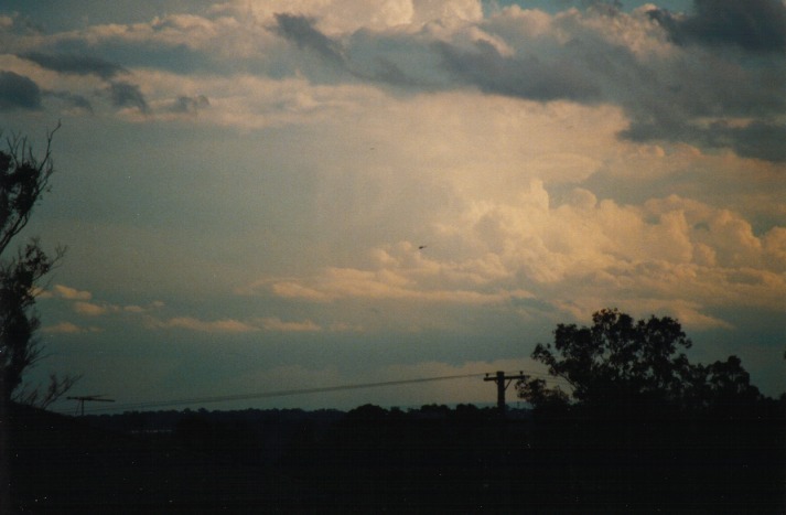 thunderstorm cumulonimbus_incus : Schofields, NSW   9 March 2000