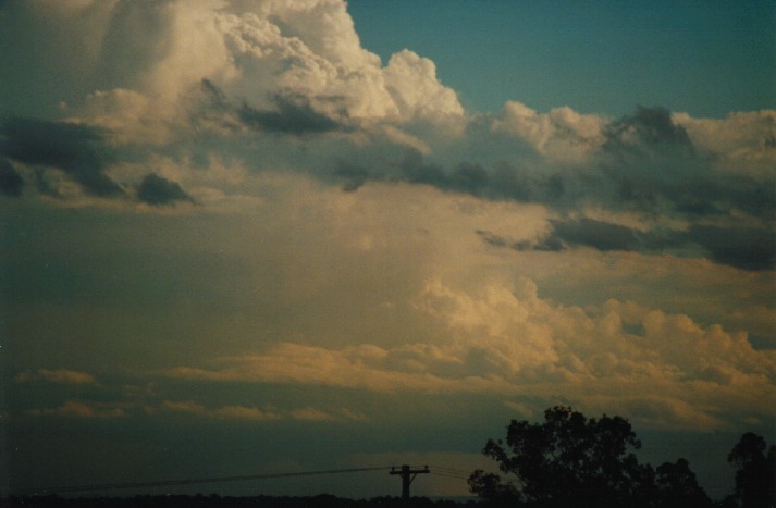 thunderstorm cumulonimbus_incus : Schofields, NSW   9 March 2000