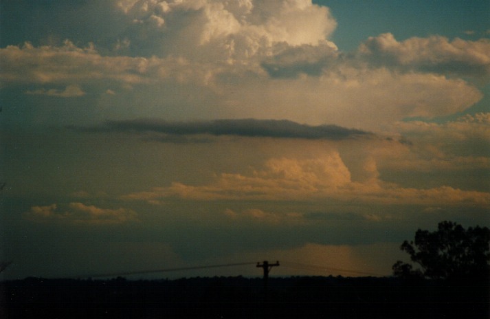 updraft thunderstorm_updrafts : Schofields, NSW   9 March 2000