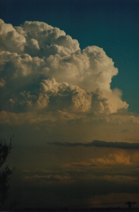 thunderstorm cumulonimbus_incus : Schofields, NSW   9 March 2000