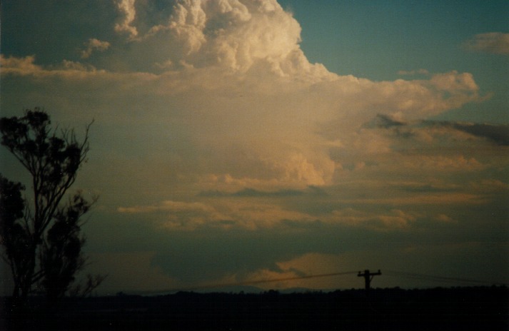 updraft thunderstorm_updrafts : Schofields, NSW   9 March 2000