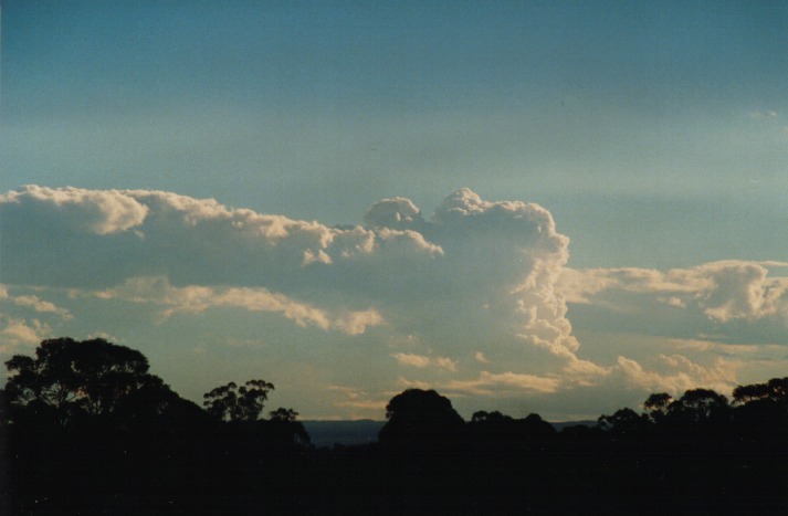 thunderstorm cumulonimbus_calvus : Schofields, NSW   9 March 2000