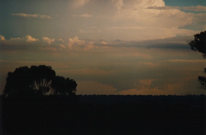 wallcloud thunderstorm_wall_cloud : Schofields, NSW   9 March 2000