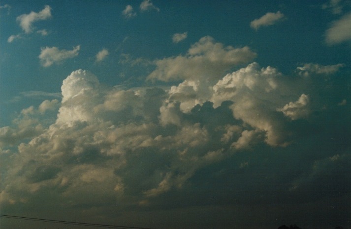 thunderstorm cumulonimbus_calvus : Schofields, NSW   14 March 2000