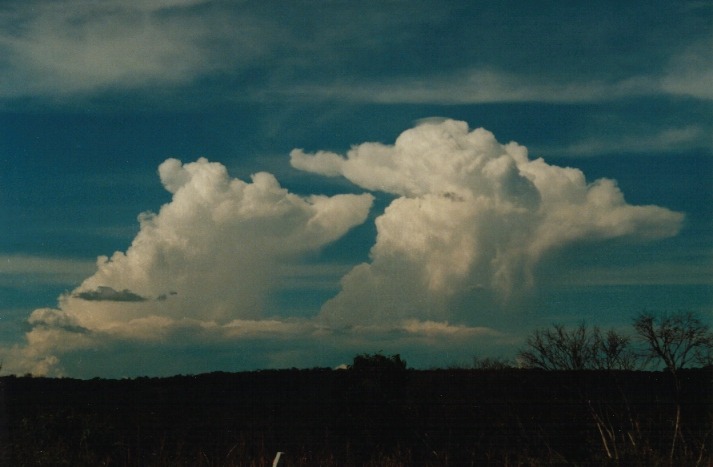 thunderstorm cumulonimbus_incus : Lithgow, NSW   18 March 2000