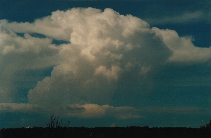 thunderstorm cumulonimbus_incus : Lithgow, NSW   18 March 2000