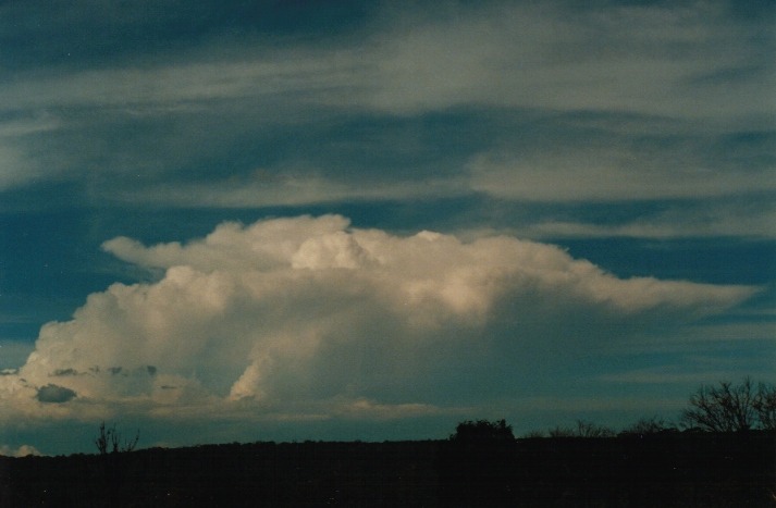 cirrus cirrus_cloud : Lithgow, NSW   18 March 2000