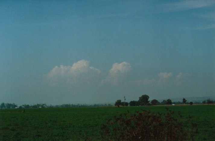 thunderstorm cumulonimbus_calvus : Denman, NSW   19 March 2000