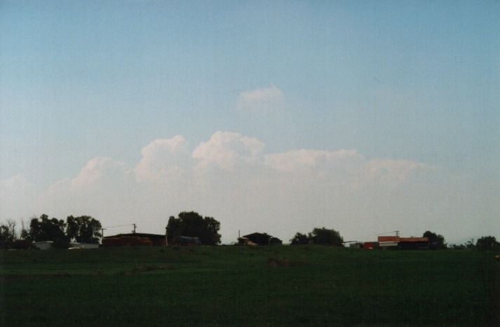 thunderstorm cumulonimbus_calvus : Denman, NSW   19 March 2000