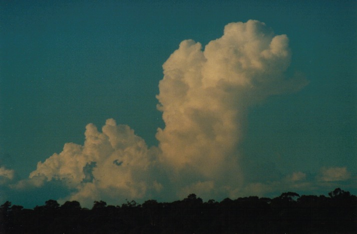 cumulus congestus : Schofields, NSW   15 April 2000